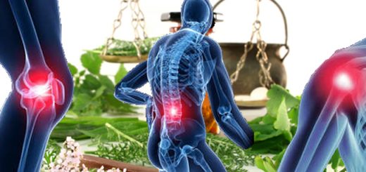 фитотерапия при ревматизме