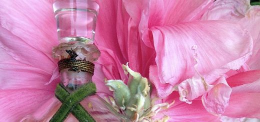 как выбрать свой аромат