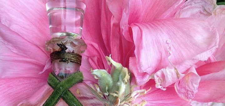 как выбрать свой аромат