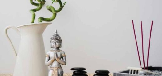 как организовать зону богатства по фэн шуй