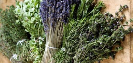 косметические средства из прованских трав