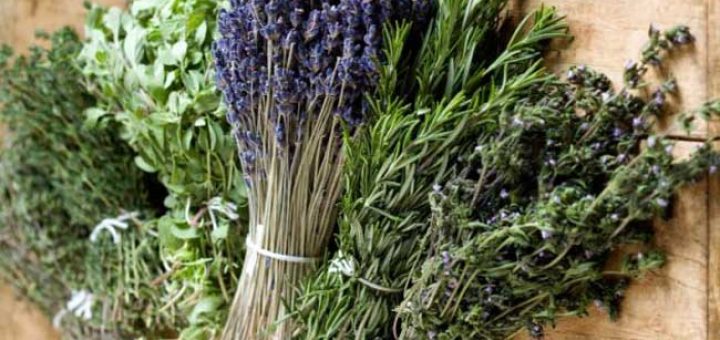 косметические средства из прованских трав