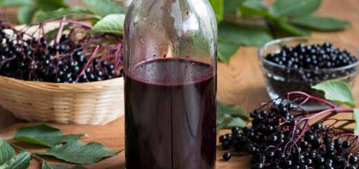 чем полезна бузина