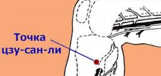 точка цзу-сан-ли