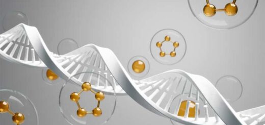 свободные радикалы