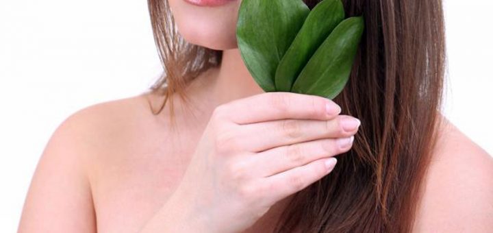 фитотерапия при выпадении волос