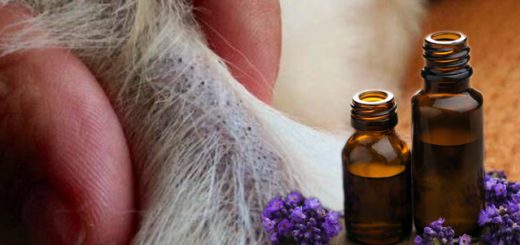 средства от клещей и блох с эфирными маслами