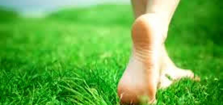 лечение грибка народными методами