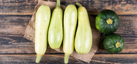 Кабачок для красоты и здоровья