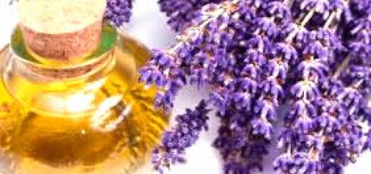 эфирное масло лаванды