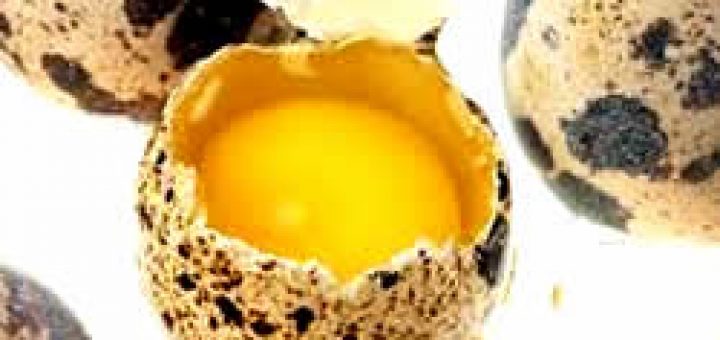 польза перепелиных яиц