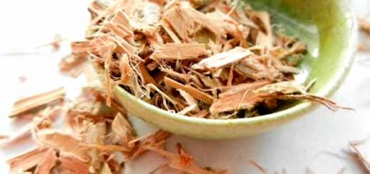 кора дуба в косметологии