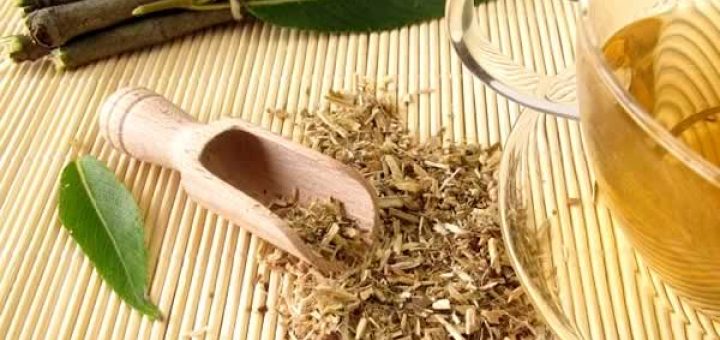 кора ивы в косметологии