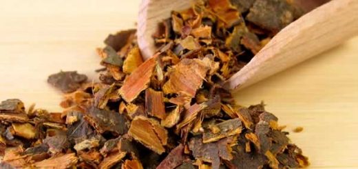 кора крушины в косметологии