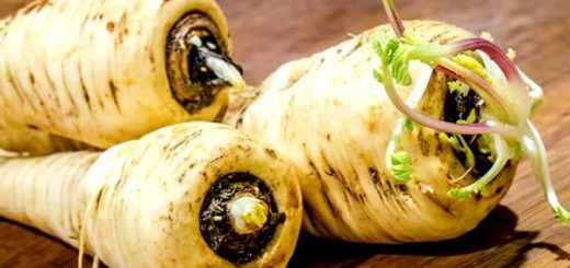 пастернак в косметологии