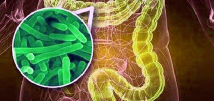 как восстановить микрофлору