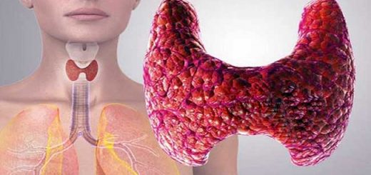 роль щитовидной железы